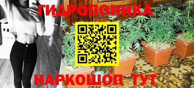 гидропоника Кулебаки